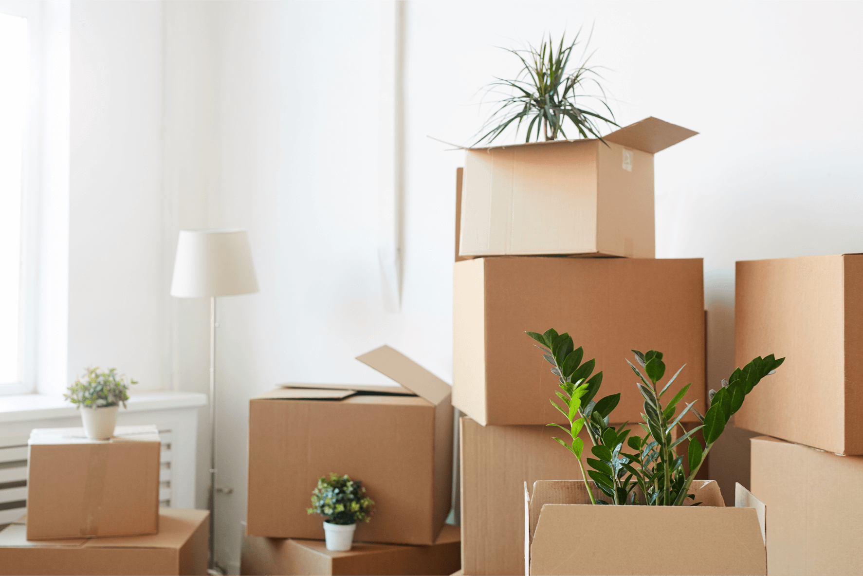 Boxes in an empty house about to move house